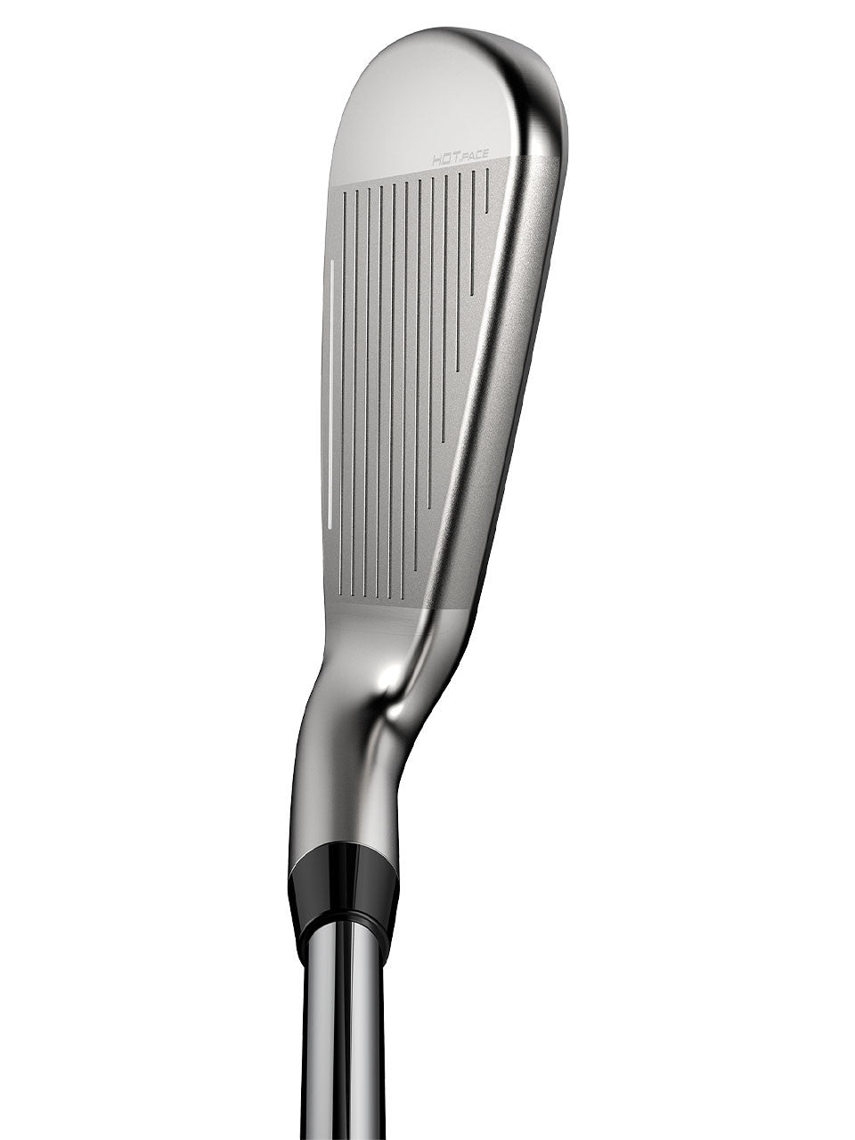 Cobra DS-Adapt Iron - Steel Shaft